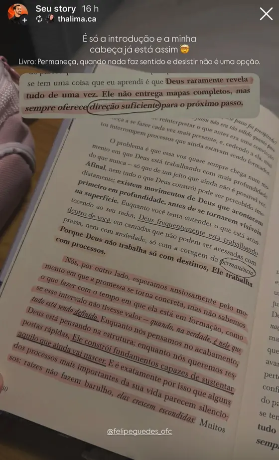 Story de leitora destacando trecho da introdução de Permaneça