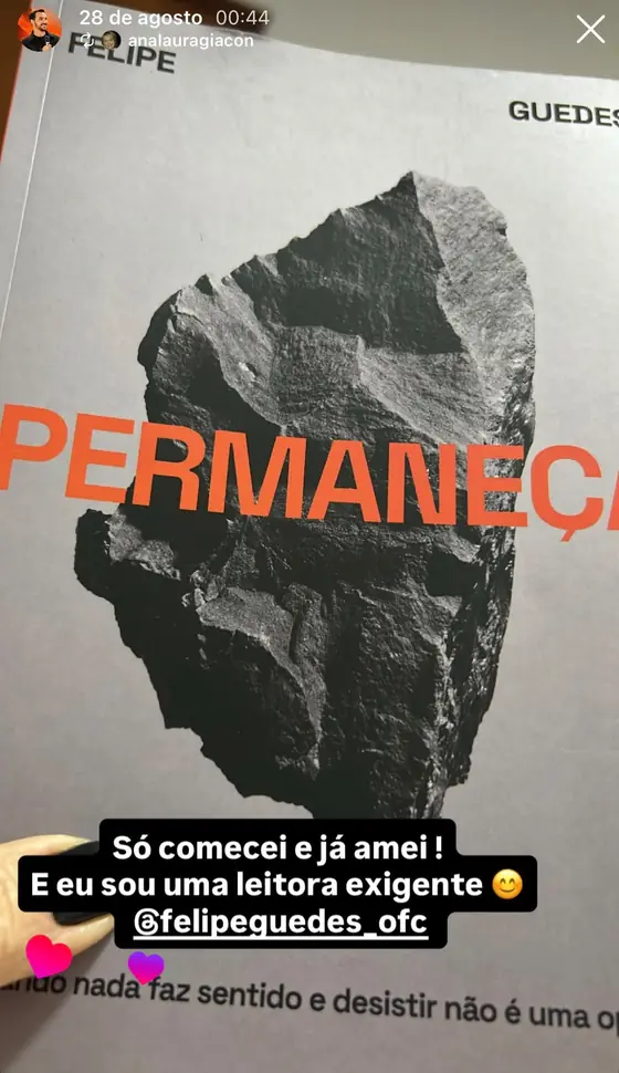 Story de leitora elogiando o início da leitura de Permaneça