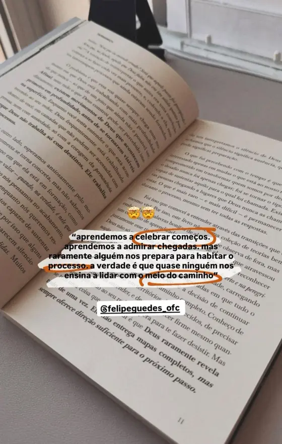 Story com trecho grifado do livro Permaneça